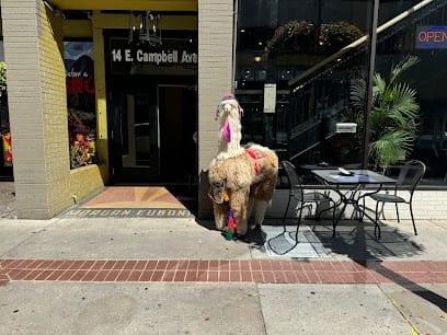 Inka Grill Peruvian Cuisine Downtown